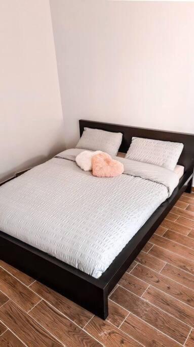 Douce Fragrance 4 Couchages Wifi Apartman Grasse Kültér fotó